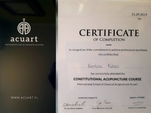 certyfikat constitutional acupuncture course